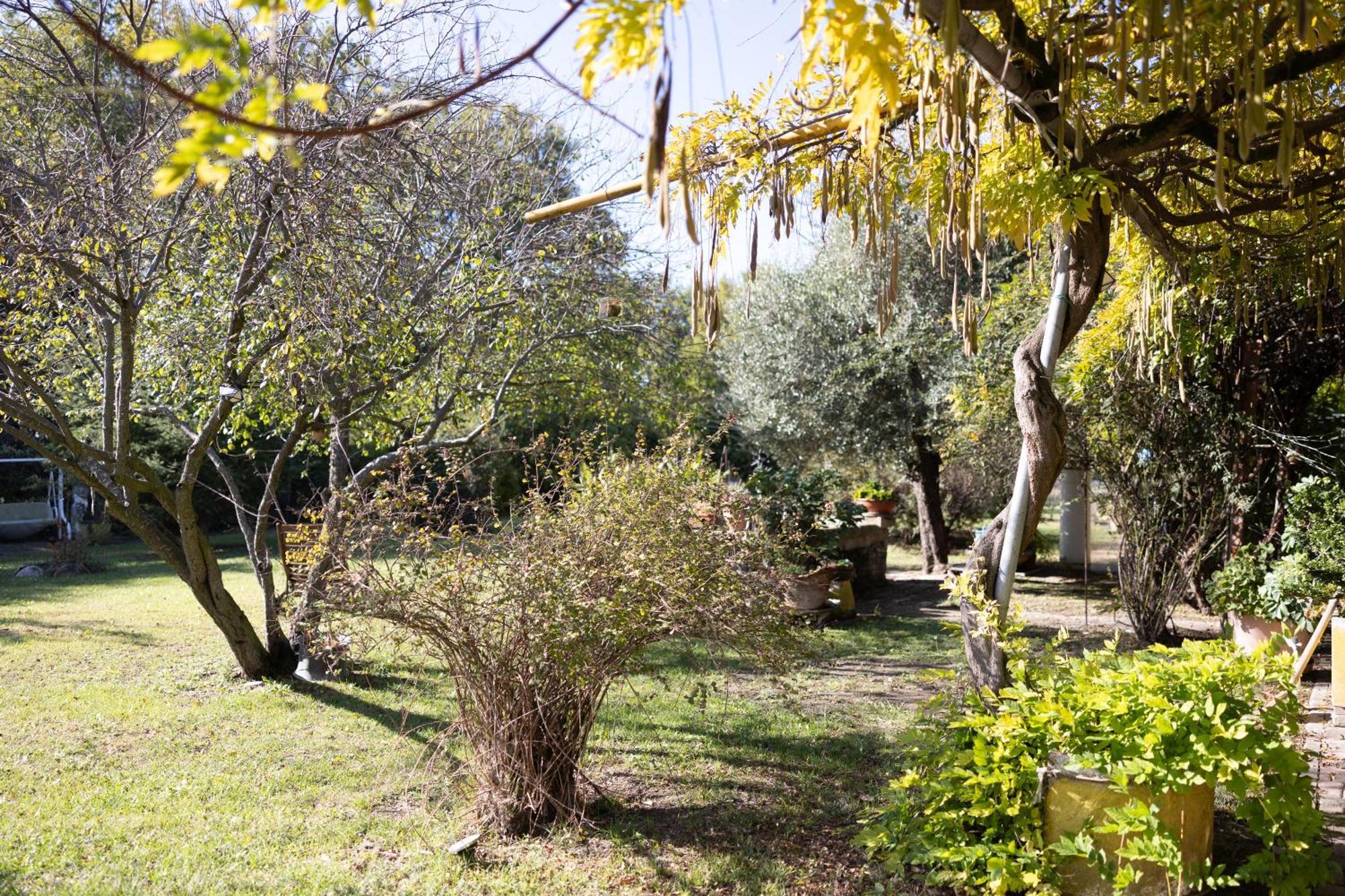 Locanda Acetaia Malagoli Daniele カステルフランコ・エミーリア エクステリア 写真